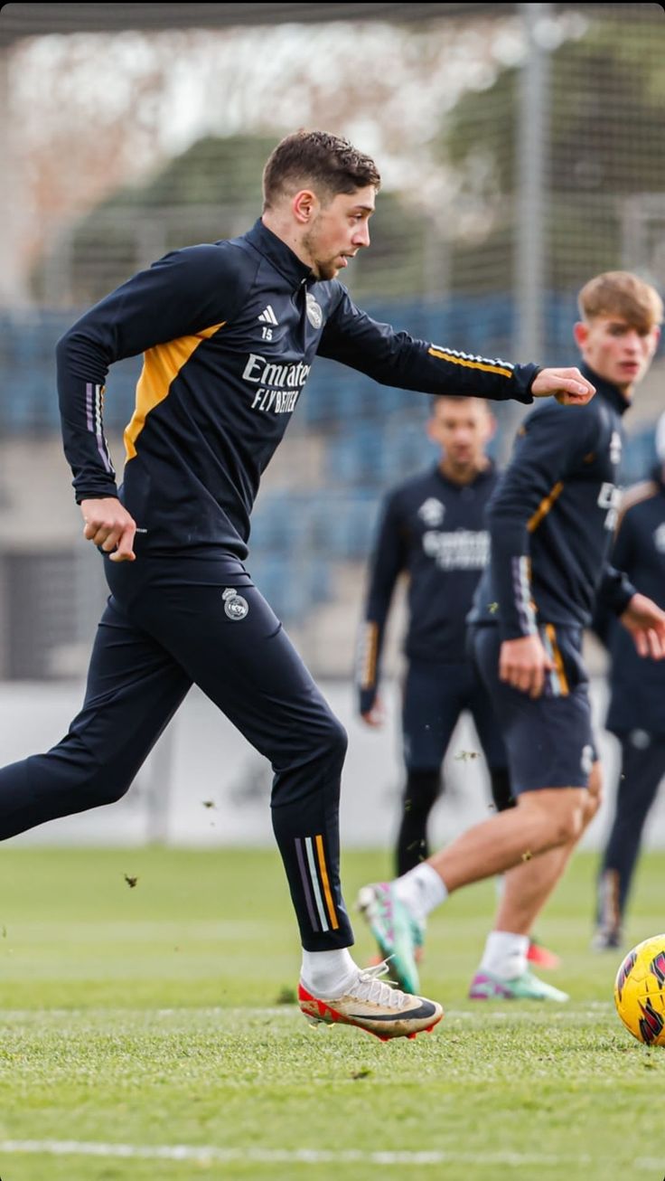 Training Set